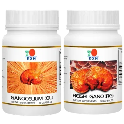 Ilustración conceptual de RG (desintoxicación) y GL (equilibrio) de DXN trabajando en sinergia para apoyar el cuerpo según los principios de la Ganoterapia.